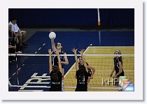 vs Maize * (348 Slides)